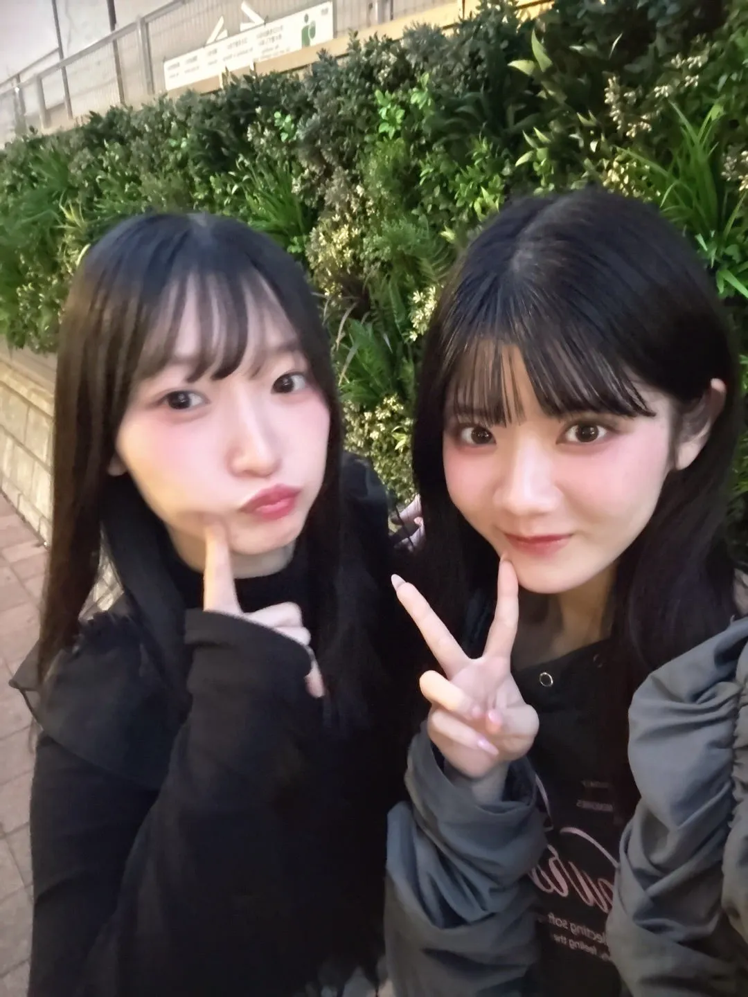 宮本さんとᐡᴗ͈  ̫ ᴗ͈ᐡ川嶋美楓