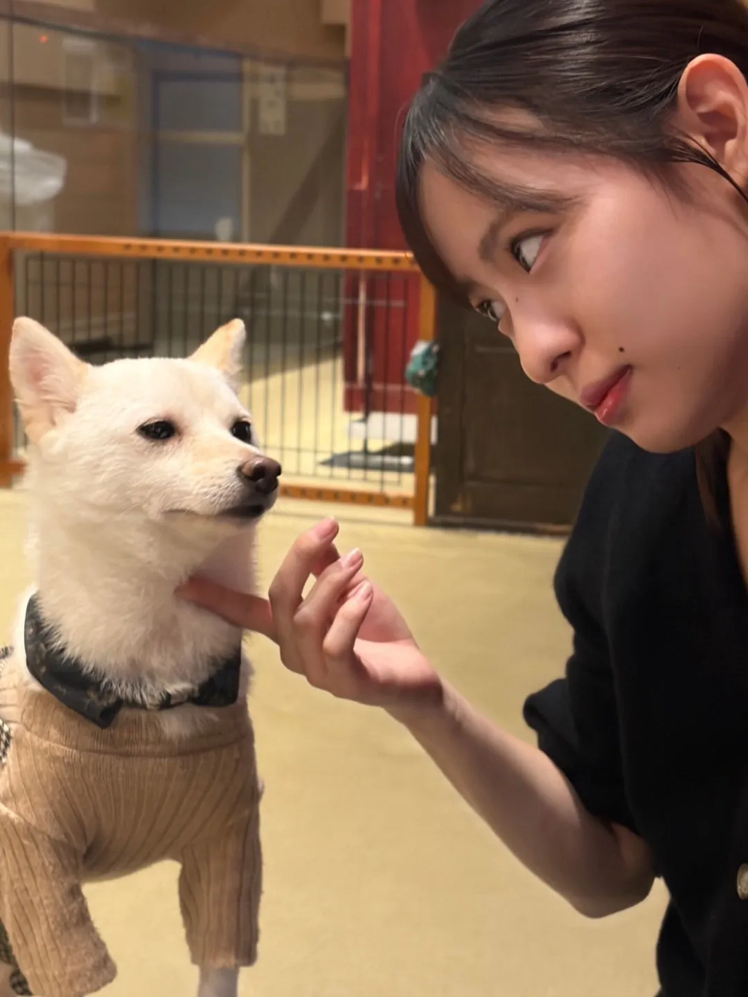 虚無…… 遠藤彩加里