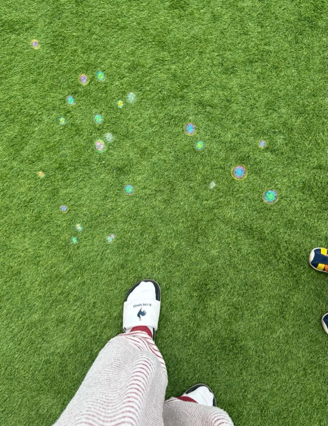 朝の空気が最高な季節だね