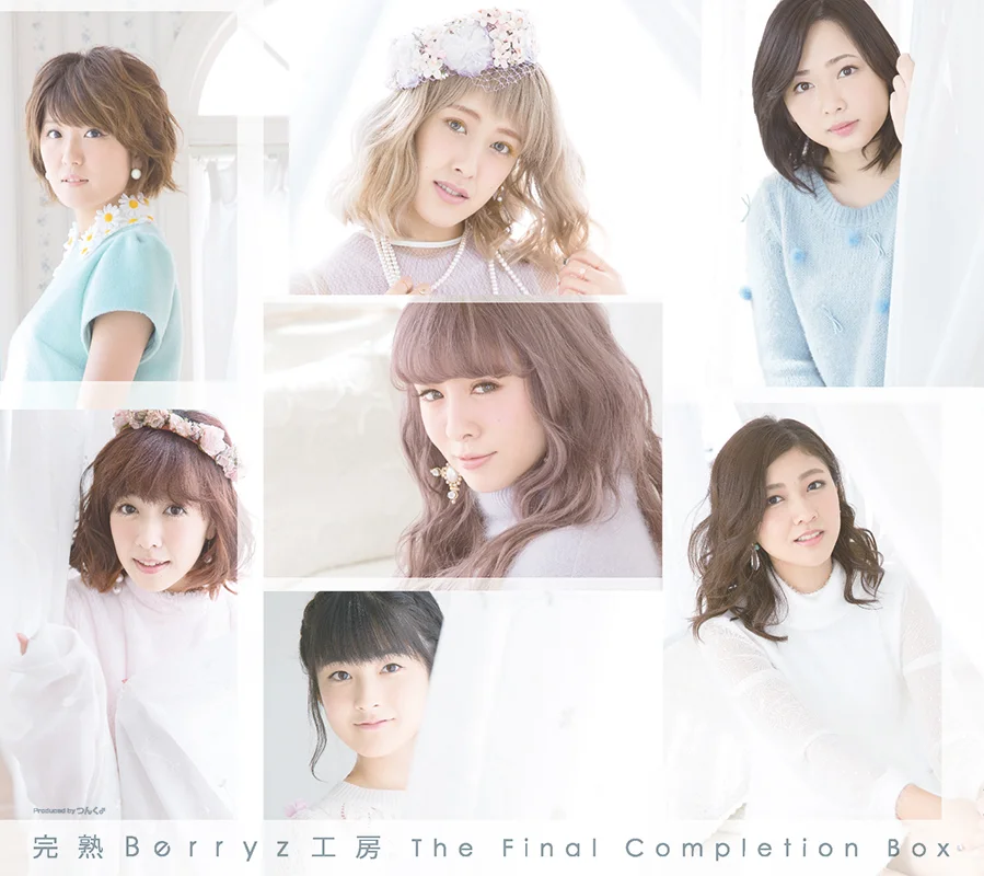 完熟Berryz工房 The Final Completion Box - アップフロントワークス