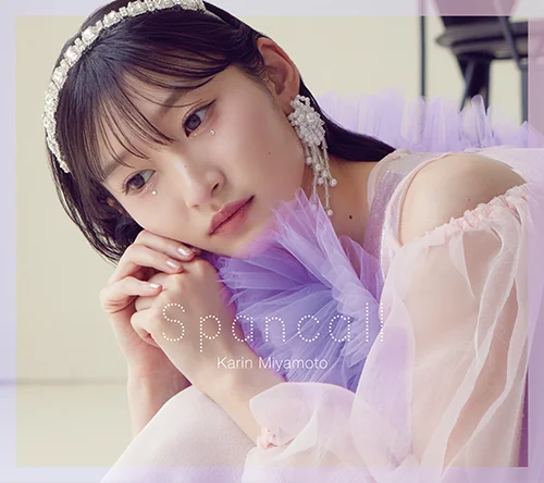 ヌ*ラ様 アイガー サンクション オリジナル・サウンドトラック 限定 2CD HANAKIN/シャニカマー - アップフロントワークス公式サイト
