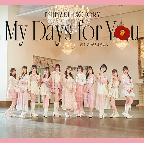 My Days for You/悲しみがとまらない - アップフロントワークス公式サイト