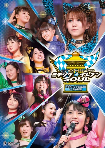 モーニング娘。コンサートツアー2013春ミチシゲ☆イレブンSOUL〜田中