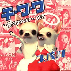 チ・ワ・ワ ～愛のpower～DVD