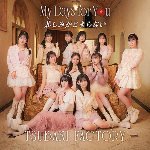My Days for You/悲しみがとまらない(Special Edition) - アップ