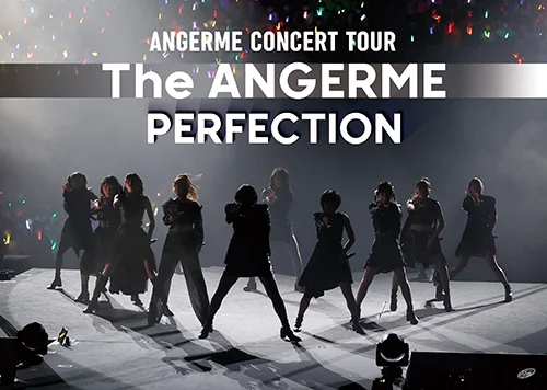 アンジュルム CONCERT TOUR -The ANGERME- PERFECTION - アップ