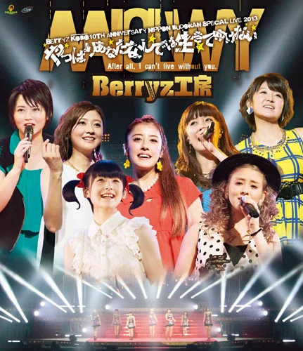 Berryz工房10周年記念日本武道館スッペシャルライブ2013 〜やっぱりあなたなしでは生きてゆけない〜