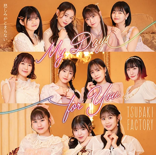 My Days for You/悲しみがとまらない - アップフロントワークス公式サイト