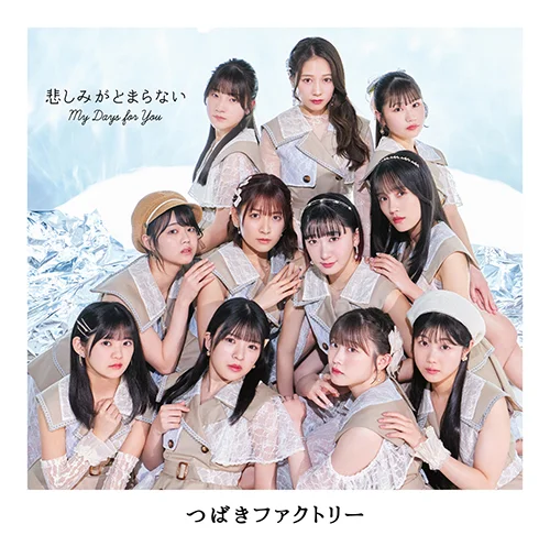 My Days for You/悲しみがとまらない - アップフロントワークス公式サイト