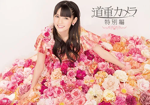 モーニング娘。 道重さゆみ 卒業記念フォトスタンド 生写真 モーニング娘。'14コンサートツアー秋 GIVE ME MORE LOVE 〜道重さゆみ