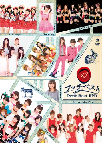 プッチベスト 13 DVD
