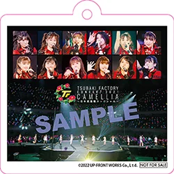 つばきファクトリー 2/23発売 武道館DVD・Blu-ray ECショップ